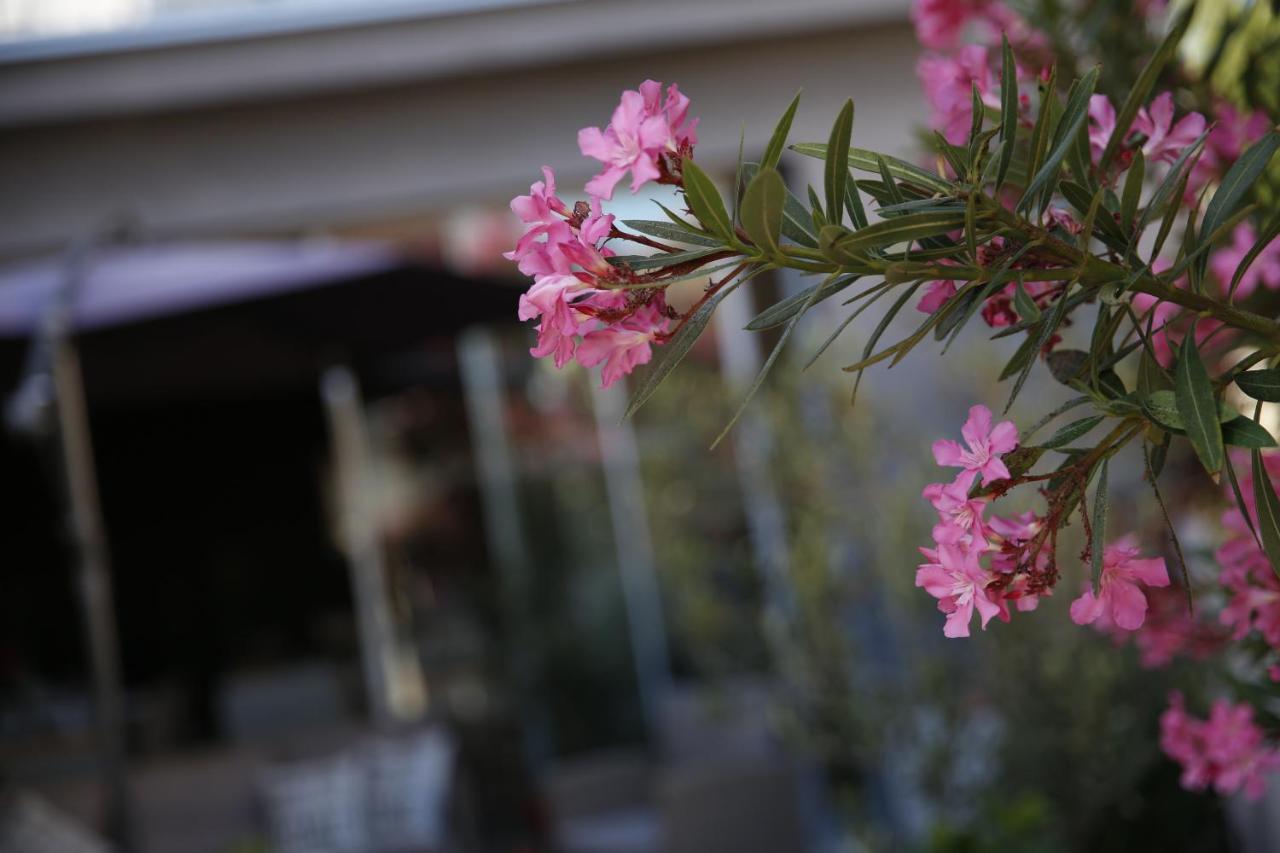 Guest House Lorenta Vodice Exterior photo
