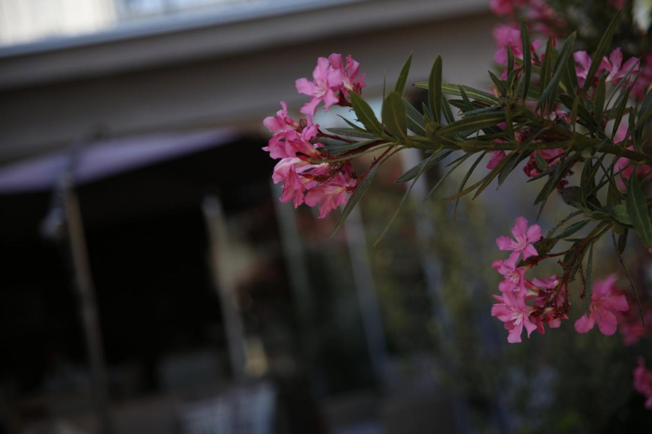 Guest House Lorenta Vodice Exterior photo